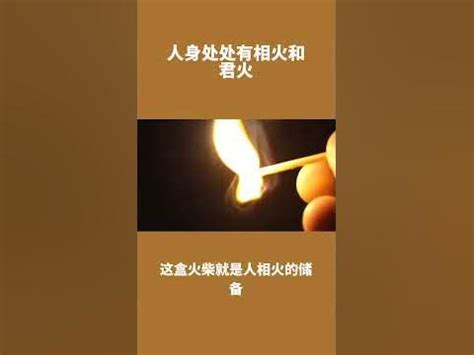 君火 相火|传忠录中·君火相火论